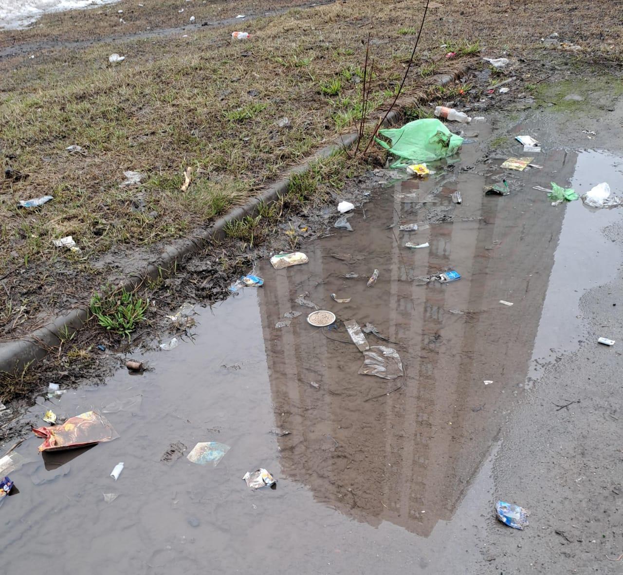 Фото «Город-помойка»? Новосибирцы возмущаются из-за гор мусора в мегаполисе. Фоторепортаж 6